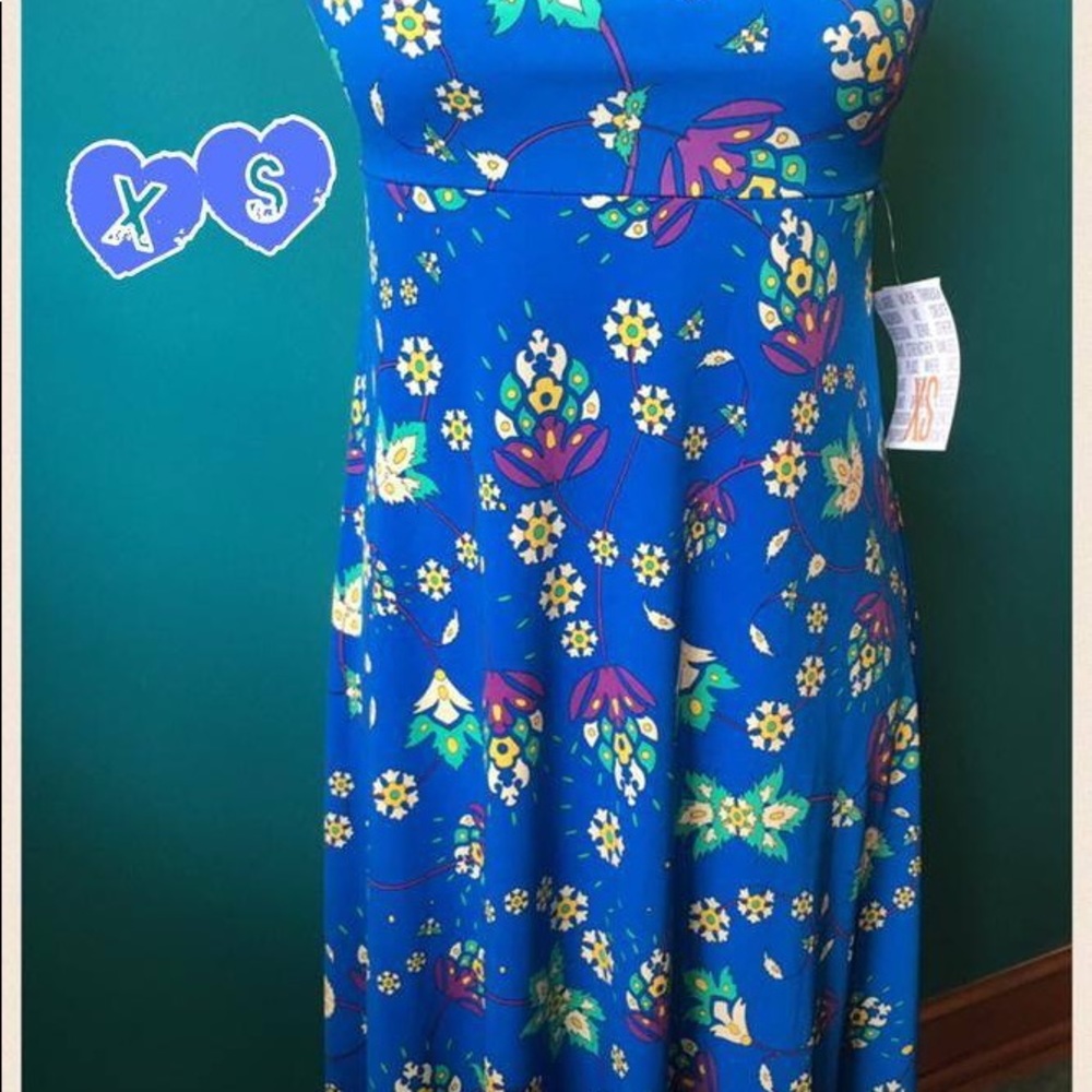 LuLaRoe XS Blue Floral Maxi Skirt